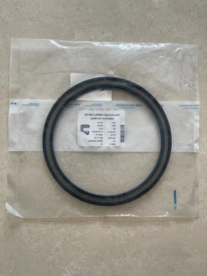 Numero del pezzo di scheletro 180X210L08N della guarnizione per l'asse guidato di Kessler